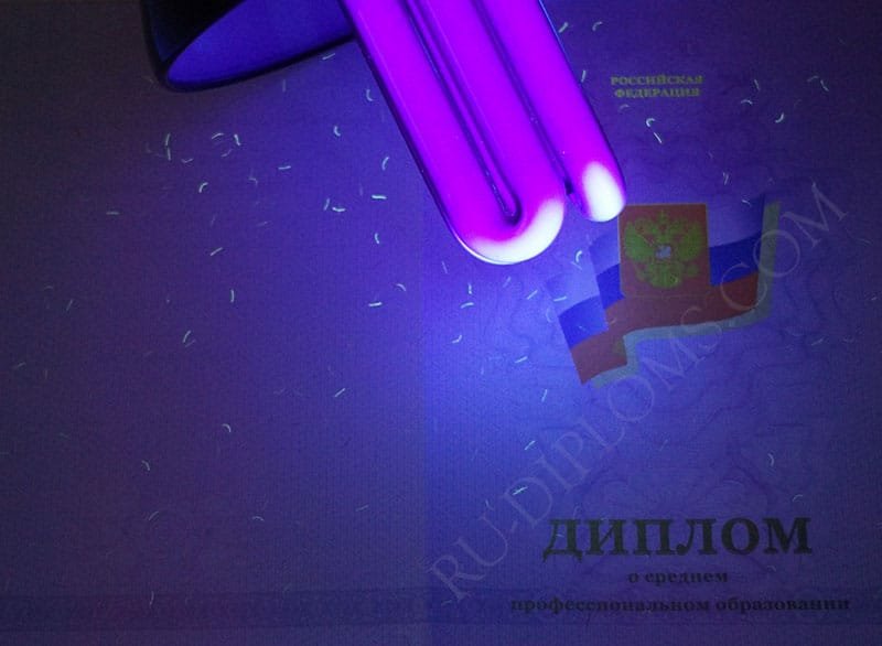 Диплом техникума или колледжа 2011-2013 год 